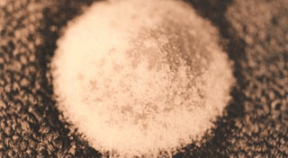 Handy Household Hints - Salt