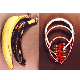 Bananas & Hairbands