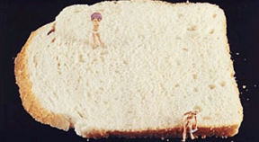 Sliced Bread With Naturists Sitting & Standing
